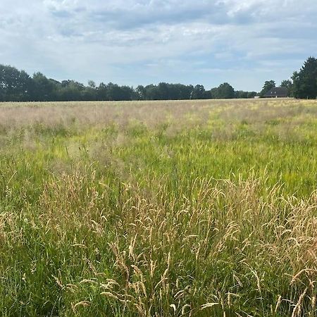Ferienwohnung Kunst Und Natur In Worpswede Exterior foto